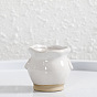 Mini Ceramic Succulent Planter Pots, with Holes, Thumb Small Flowerpot Ornaments for Office Home Desktop Decor