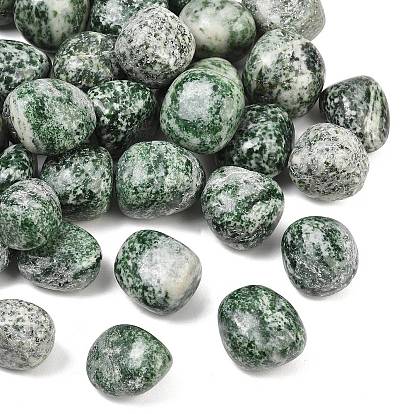Natural Green Spot Jasper Beads, Tumbled Stone, Nuggets, No Hole/Undrilled, Vase Filler Gems/Undrilled, Vase Filler Gems