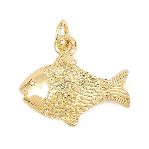 Латунные подвески, рыбы прелести, без кадмия и без свинца