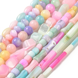 Brins de perles de coquillage d'eau douce naturelles teintes en couleur arc-en-ciel, couleur mixte, rond/rondelle/nuggets/colonne/riz