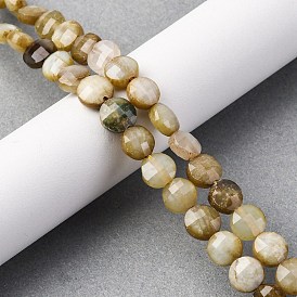 Природного нефрита Xiuyan бисер нитей, граненый квадратный разрез, плоско-круглые