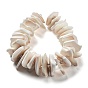 Natural Shell Beads Strands, Nuggets, with Seed Beads