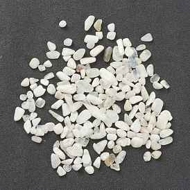 Natural Rainbow Moonstone Beads, No Hole/Undrilled, Chip