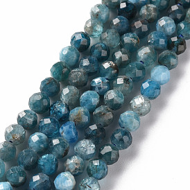 Natural Apatite Beads Strands, Round, Faceted