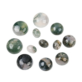 Природные моховой агат кабошонов, полукруглый/овальный