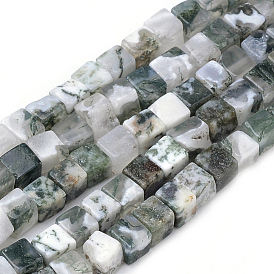 Natural Tree Agate Beads Strands, Cube