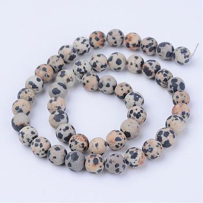 Natural Dalmatian Jasper Beads Strands, Frosted, Round