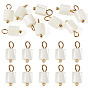 10 pièces de breloques en coquillage naturel pour colonnes, avec 304 boucles en acier inoxydable, couleur de coquillage, placage ionique (ip)