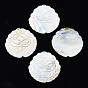 Natural Freshwater Shell Big Pendants, Flower