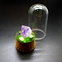 Raw Nuggets Natural Gemstone Specimen Display Decorations, Cork & Glass Arch Bell Jar for Micro Landscape Home Decorations