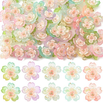 50шт 5 цвета акриловые подвески, с 304 петлями из нержавеющей стали