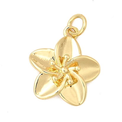 Латунные подвески, цветок, с целью перехода в кольце, стойки покрытие, долговечный, без свинца и без кадмия