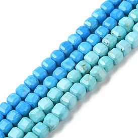 Natural Howlite Beads Strands, Dyed, Faceted Cube