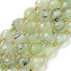 Natural Prehnite Beads Strands, Faceted, Oval, with Seed Beads