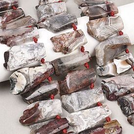 Натуральные мексиканские бусины из агата «Crazy Lace», неправильная трапеция, Топ пробуренной