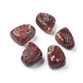 5Stk natürliche Leopardenfellperlen, getrommelt Stein, Vasenfüller Edelsteine, kein Loch / ungekratzt, Nuggets