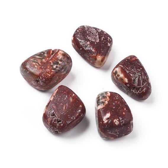 5pcs perles naturelles en peau de léopard, pierre tombée, gemmes de remplissage de vase, pas de trous / non percés, nuggets