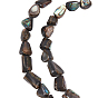 1 нить из натуральных бусин из ракушек абалон/пауа, самородки