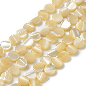 Natural Trochus Shell Beads Strands, Flat Round