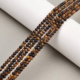 Природных тигровый глаз бисер нитей, круглые, класса AB +