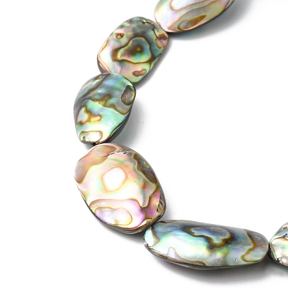 Natural Paua Shell Beads Strands, Nuggets