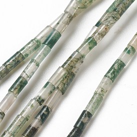 Natural Moss Agate Beads Strands, Column