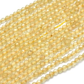 Natural Citrine Beads Strands, Faceted, Round, Dyed & Heated