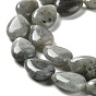 Natural Labradorite Beads Strands, Teardrop