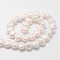 Shell Pearl Bead Strands, Grade A, Oval