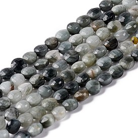Natural Hawk's Eye Beads Strands, Eagle Eye Stone, Faceted, Flat Round