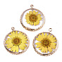 Transparent Clear Epoxy Resin & Dried Flower Pendants, with Edge Light Gold Plated Iron Loops, Flat Round