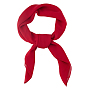 Polyester Scarf for Women Girls