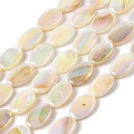Natural Freshwater Shell Beads Strands, AB Color, Oval