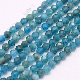 3 Strands Natural Apatite Beads Strands, Faceted, Round