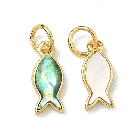 Натуральные амулеты из моллюсков, с латунной, без свинца и без кадмия, стойки покрытие, долговечный, реальный 18 k позолоченный