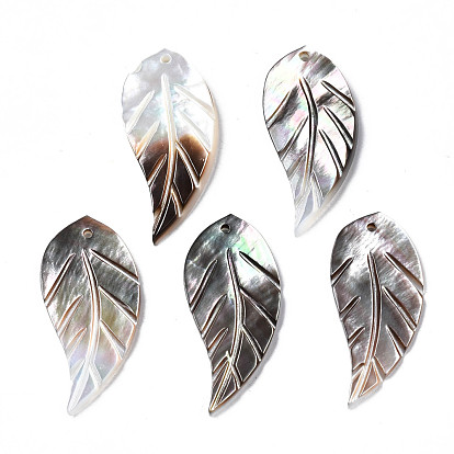 Natural Black Lip Shell Pendants, Leaf