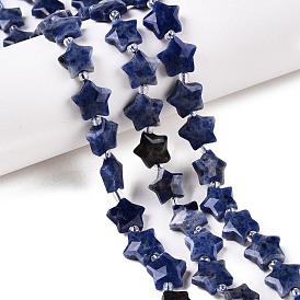 Natural Sodalite Beads Strands, with Seed Beads, Faceted Star