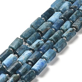 Natural Apatite Beads Strands, with Seed Beads, Faceted, Column