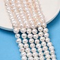 Natural Cultured Freshwater Pearl Beads Strands, Potato