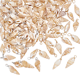 100шт. 2 цвета подвески из натуральных ракушек, Подвески в форме ракушек с петлями из медной проволоки, навахо белый