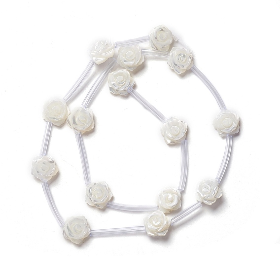 Natural Trochid Shell/Trochus Shell Beads Strands, Rose