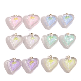 Resin Rhinestone Pendants, Heart