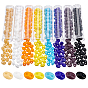 608Pcs 8 Colors 2-Hole Seed Beads, Czech Glass Beads