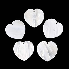 Естественных пресноводных оболочки большие кулоны, сердце прелести