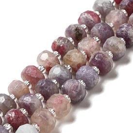 Natural Pink Tourmaline Beads Strands, with Seed Beads, Faceted, Rondelle