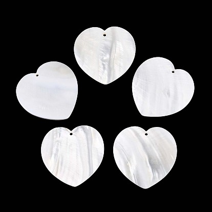 Естественных пресноводных оболочки большие кулоны, сердце прелести