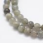 Natural Labradorite Beads Strands, Round