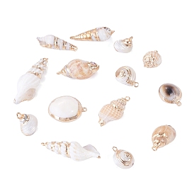 14 piezas 7 estilos colgantes de concha mixta natural galvanizada, encantos de forma de concha, con fornituras de latón, dorado