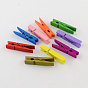 Dyed Wooden Craft Pegs Clips