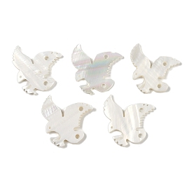 Natural Freshwater Shell Links Connector Charms, Brid